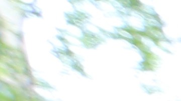 Mai-Elka Prado, que esta embarazada, es fotografiada en Brooklyn.
Photo Credito Mariela Lombard/El Diario NY.