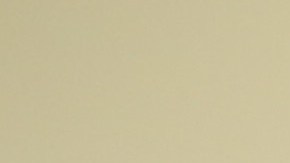 Olivia, victima de violencia domestica, habla de su experiencia y la ayuda para conseguir su visa.