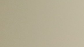 Olivia, victima de violencia domestica, habla de su experiencia y la ayuda para conseguir su visa.