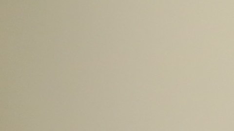 Olivia, victima de violencia domestica, habla de su experiencia y la ayuda para conseguir su visa.