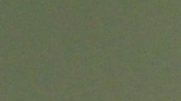 Congresistas Nydia Velazquez, Grace Meng and Hakeem Jeffries escuchan al director ejecutivo de NYC Board of Elections Michael Ryan durante un town hall en Chinatown, New York. 
Photo Credito Mariela Lombard/El Diario NY.