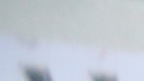 Marta Morales (jacket de flores) con Millie Alvarez decoran con antiguas fotos una maqueta que presentaran para el Festival de Losaida este fin de semana.