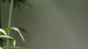 Origel hizo unas fuertes declaraciones sobre Rubio.