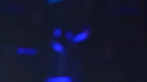 El usuario aseguró que Alejandro fue acosado por la gente del lugar.