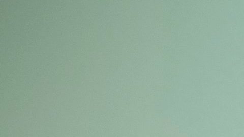 El "bitcoin" es un activo digital gestionado a través de un sistema de pago propio inventado por Wright bajo el pseudónimo de Nakamoto