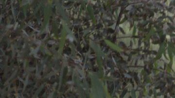 El grupo terrorista Estado Islámico (EI) lapidó hoy hasta la muerte a una mujer y a 20 jóvenes varones en la ciudad de Mosul, en el norte de Irak, por haber mantenido supuestas relaciones ilegítimas