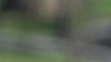 La Policía de Boston está asistiendo en la investigación sobre una amenaza de bomba en la Universidad de Harvard.