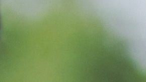 Una modelo muestra el robot RoBoHoN, de Sharp, en una feria de tecnología y electrónica internacional en Chiba, cerca de Tokio.