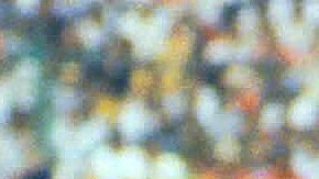 Pasión y entrega total: Roberto Gómez Junco y Daniel Brailovsky disputan una pelota en la Gran Final de 1985 en el Estadio Azteca. Los Clásicos Chivas y América florecieron en los años 80.