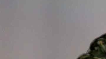 Carlos Hermosillo anotó el gol que le dio el último título al Cruz Azul en el Invierno 1997.