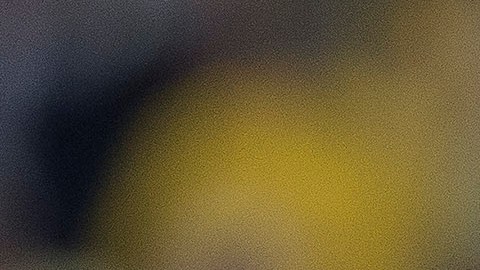 Antonio Mohamed es levantado por los jugadores del América tras la conquista del campeonato de liga en en el toneo Apertura 2014. Ahora le toca enfrentarse a las Águilas.
