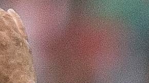 Osorio marcha perfecto en su paso al mando del Tri.