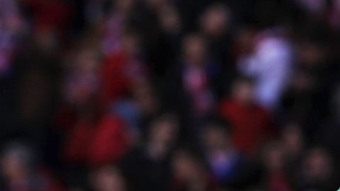 Ochoa es pretendido por el Espanyol.