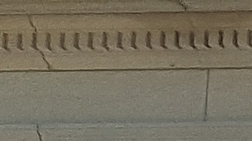 Activistas se reunieron en las escalinatas de la Alcaldía de NY para llamar la atención sobre el virus de la hepatitis.