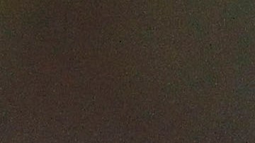 Sambueza se ha caracterizado por ser un jugador indisciplinado.