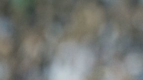 Uruguay no permitió que Sánchez se incorporará más tarde al equipo.