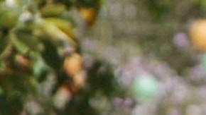 Students University estudiantes universidad634887