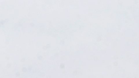 La estación entró en operación después de una ceremonia inaugural realizada por fuerzas de la OTAN.