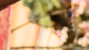 ‘Alice Through the Looking Glass’, con Johnny Depp, es uno de los filmes que Disney estrenará en breve y se espera sea otro éxito.