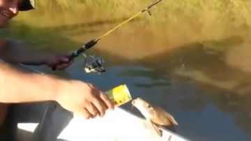 El hombre se encontraba de pesca en el río Mato Grosso en Brasil.