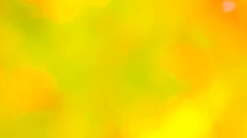 Estaban limpiando para plantar unos árboles