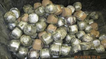 Los agentes descubrieron 2, 486 paquetes de la droga escondidos dentro de igual número de cocos.