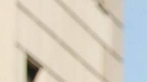 ex líder de la mayoría del Senado estatal Dan Skelos irá 5 años a la cárcel.