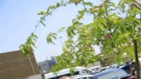 Familiares de los pasajeros del avión desaparecido lloran ante la incertidumbre.