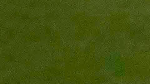 Mexico vs Estrellas de FIFA