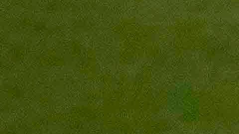 Mexico vs Estrellas de FIFA