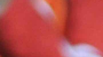 Fidel Kuri y Carlos Reinoso