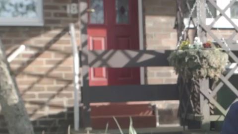 gallinas contra soledad