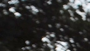 El 'Manhattanhenge' no pudo apreciarse este domingo debido a las nubes.