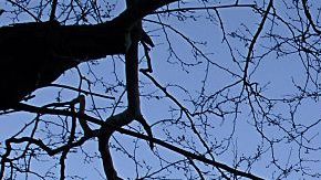 Sede de la ONU en Manhattan