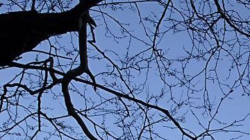 Sede de la ONU en Manhattan