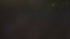 Pumas e enfrentará al equipo revelación del certamen.