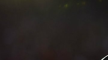 Pumas e enfrentará al equipo revelación del certamen.