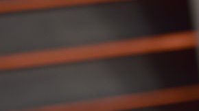 Selena disfrutó de su fiesta a lo grande.