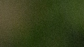 El escritor acaba de celebrar su 80 cumpleaños.