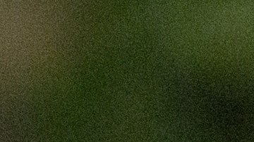 El escritor acaba de celebrar su 80 cumpleaños.