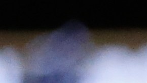 David Lemieux tira una izquierda a Glen Tapia.