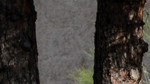 El coche bomba fue detonado al paso de un autobús de la policía.