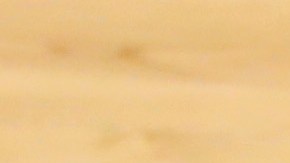 Kyle Lowry festeja con Biyombo.