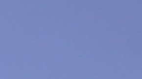 El Petco Park vivió el lamentable suceso a finales del mes de septiembre.