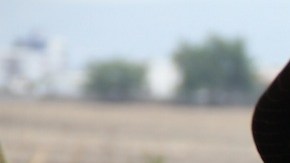 Guillermina Sotelo busca a su hijo desde 2012.