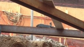 Imágenes del lugar de derrumbe tomadas por el ingeniero civil Christian Ofosu.