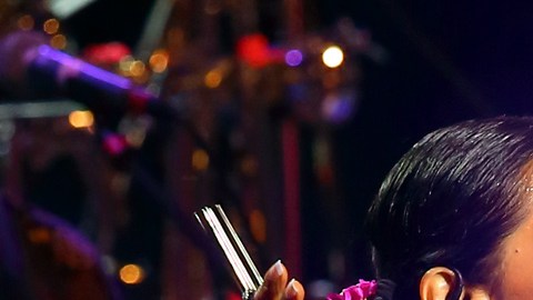 La cantante Lila Downs.