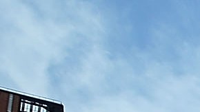 Macy’s tienen 5,000 trabajadores sindicalizados en Nueva York