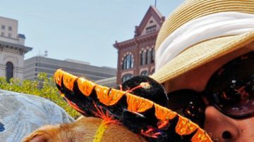La celebración del Cinco de Mayo en Estados Unidos tiene un espíritu esencialmente festivo.