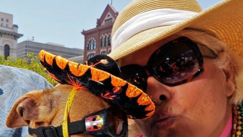 La celebración del Cinco de Mayo en Estados Unidos tiene un espíritu esencialmente festivo.